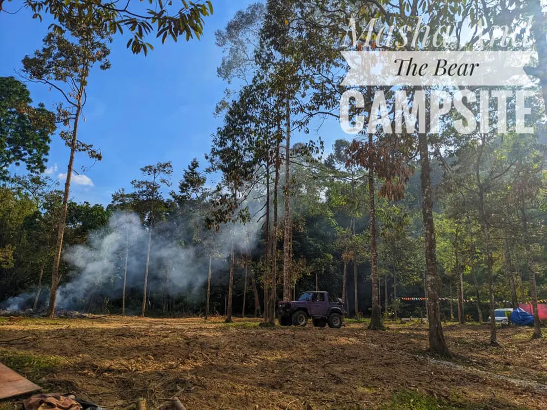 Masha and The Bear Campsite